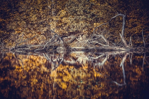 2020-10-24 0234-Edit