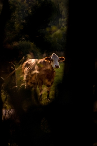 2021-08-02 0085-Edit