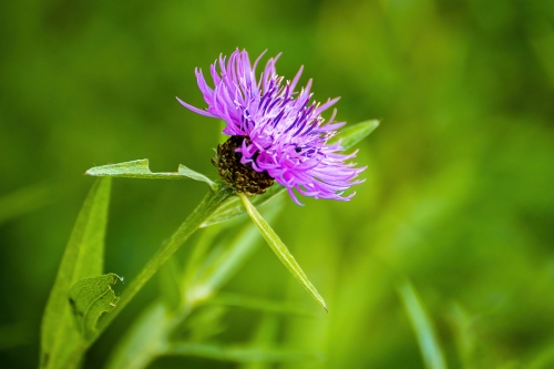 2021-08-02 0123-Edit