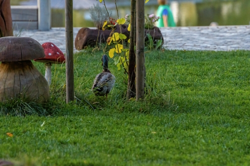 2021-10-02 0727-Edit