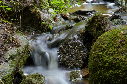 2021-07-03 0168-Edit