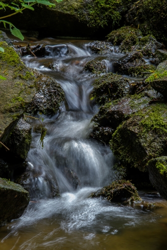 2021-07-03 0177-Edit