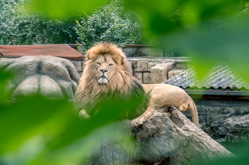 03.08.2021 - Zoo Plasy