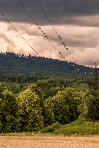 2021-08-04 0245-Edit