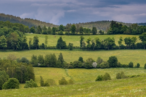 2021-06-05 0072-Edit
