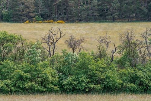 2021-06-05 0029-Edit