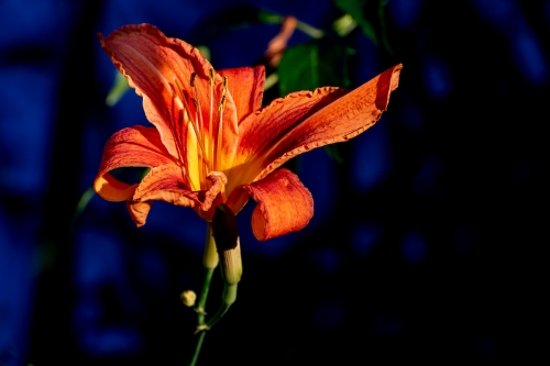 DSC 4839-Edit