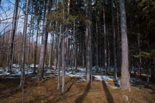 2021-03-21 0007-Edit