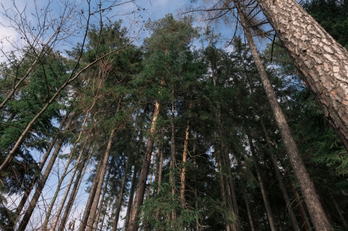2021-03-21 0008-Edit
