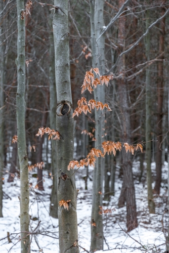 2021-03-21 0045-Edit