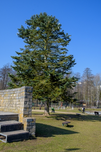 2021-03-26 0030-Edit