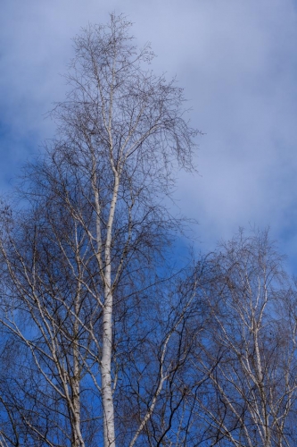 2021-02-27 0048-Edit