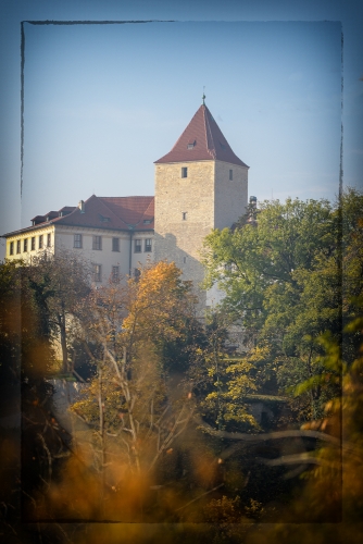 2021-10-30 0086-Edit-Edit-Edit