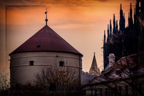 2021-10-30 0113-Edit-Edit