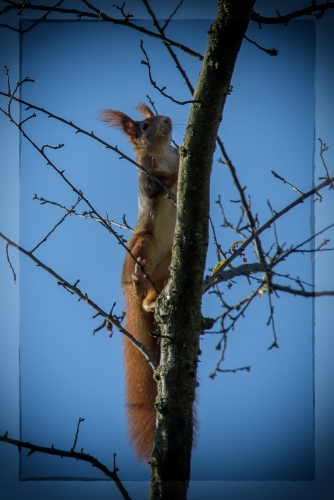 2021-10-30 0230-Edit-Edit