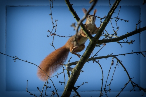 2021-10-30 0235-Edit-Edit