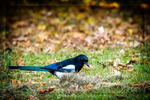 2021-10-30 0327-Edit-Edit