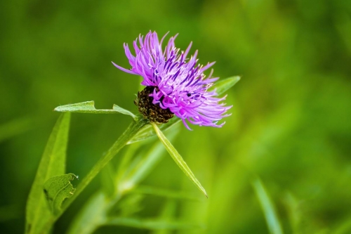 2021-08-02 0123-Edit