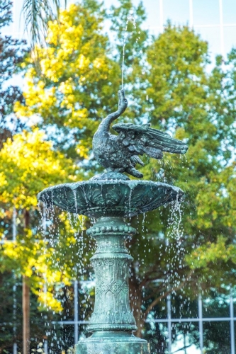 DSC 3543-Edit-2