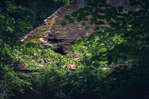 2021-07-03 0137-Edit