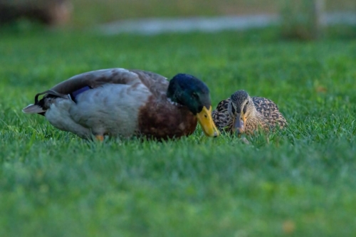 2021-10-02 0124-Edit