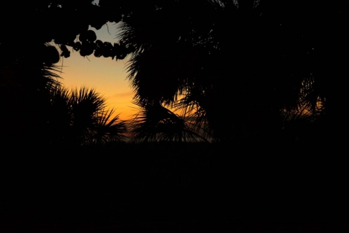 DSC 4280-Edit