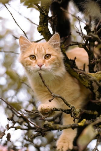 05.11.2022 - Cipíseka a Andula