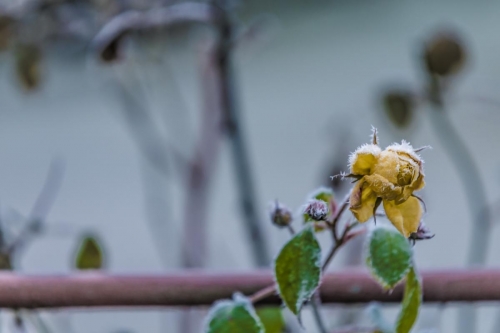 2022-01-16 0099-Edit