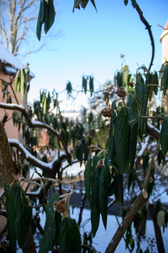 2022-12-17 0073