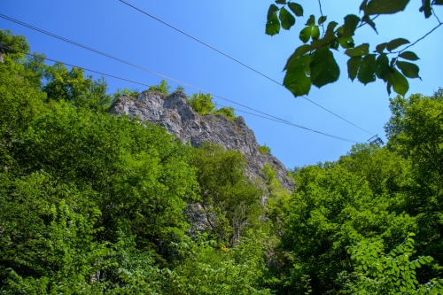 2022-07-22 0366-Edit