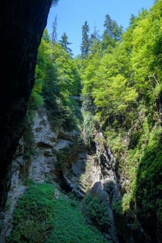 2022-07-22 0405-Edit