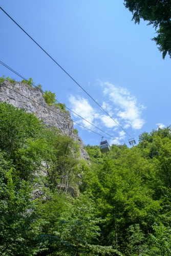 2022-07-22 0412-Edit