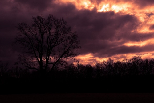2022-01-30 0067-Edit