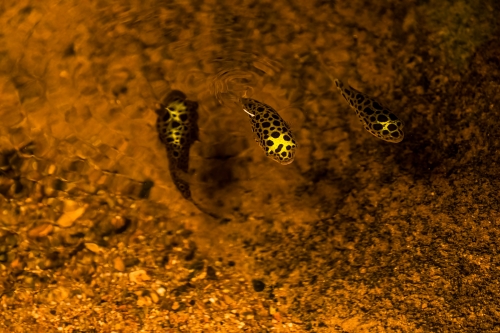 2023-07-25 0517