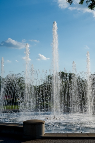 DSC 0224-Edit