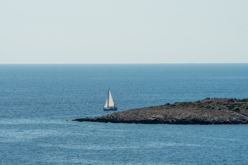 DSC 5238