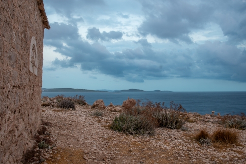 DSC 5915