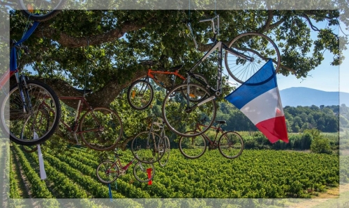 Provence 01