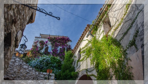Provence 05