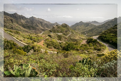 Canary Islands 004
