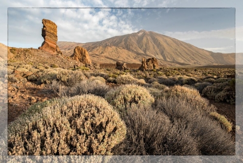 Canary Islands 005 1