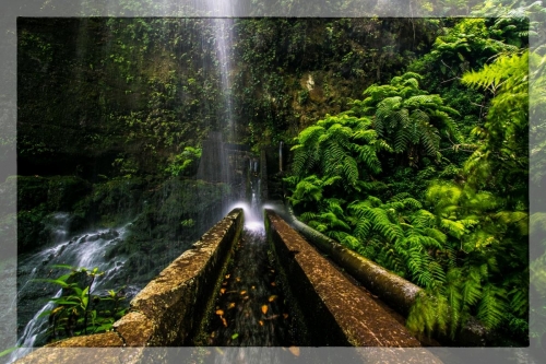 Canary Islands 008