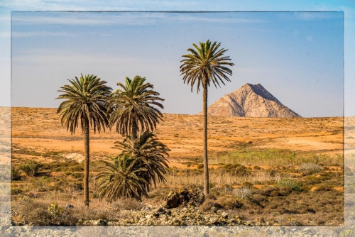 Canary Islands 009