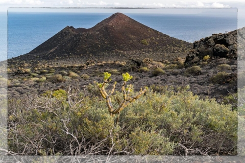 Canary Islands 012