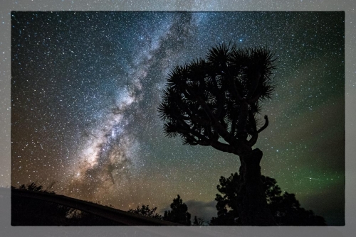 Canary Islands 024
