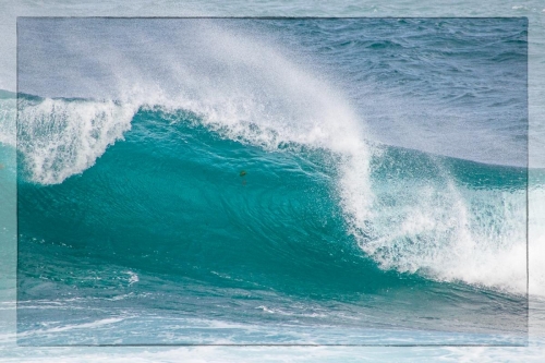Canary Islands 025