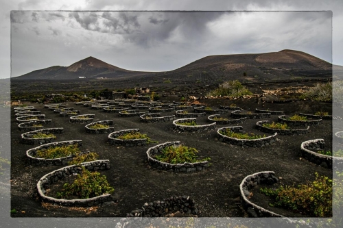 Canary Islands 027