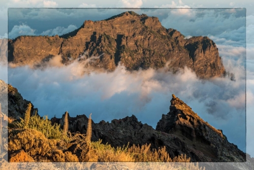 Canary Islands 036