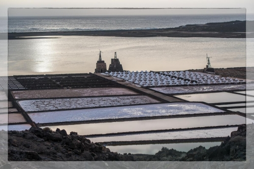 Canary Islands 050