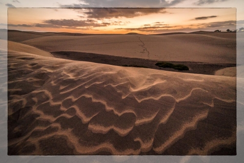 Canary Islands 052